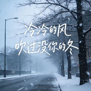 冷冷的风吹过没你的冬