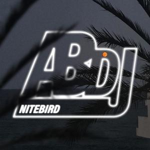 NITEBIRD