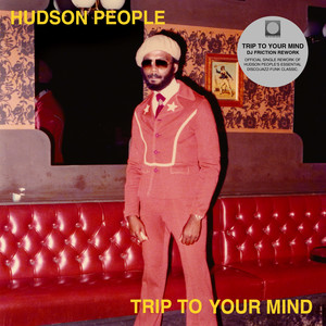 Trip To Your Mind (DJ Friction Rework)