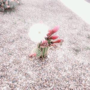 Six Under (feat. Qui)