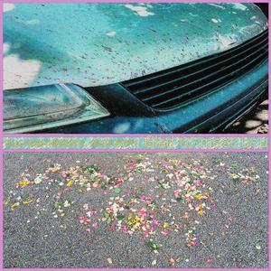 Carry on the waves (feat. Plug Alibi Thirteen)