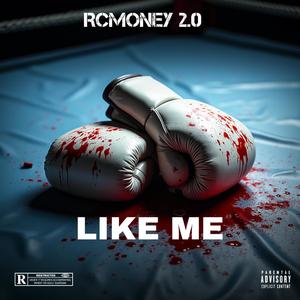 Like Me (Explicit)