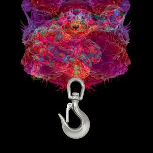 Una canzone tumore (tha Supreme, Rockstar Remix)