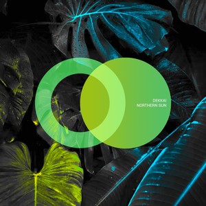 Reaching for the Sky (Original Mix)