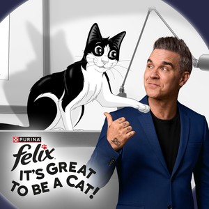 It's Great To Be A Cat (2025 version)