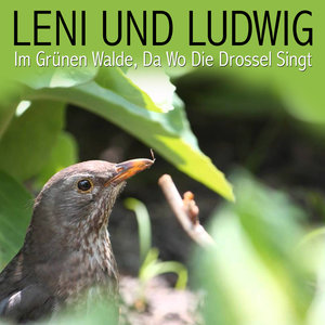 Im Grünen Walde, Da Wo Die Drossel Singt