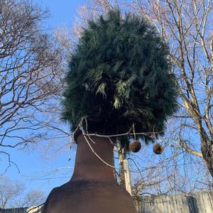 Foolish Heart (feat. Phoenix Speck)