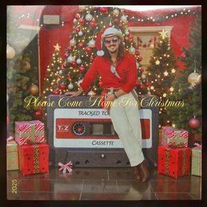 Please Come Home For Christmas