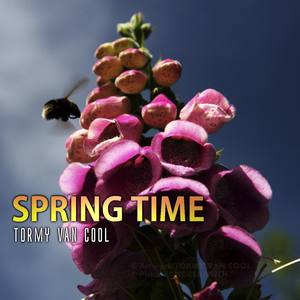 Spring Time (Piano Violin Reduction) (Reduction for Piano and Violin)
