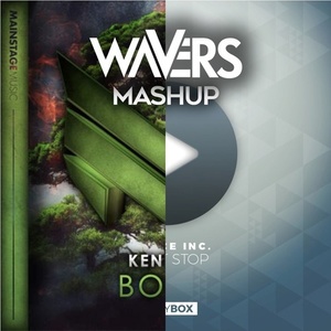 Don't Stop Bonzai (Wavers Mashup)