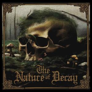 The Nature of Decay (feat. Cameron Losch)