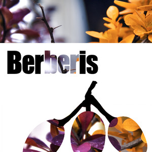 Swing Sense (Original Mix)