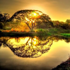 Alaba al Dios de Abraham (feat. Edilson Abdiel)