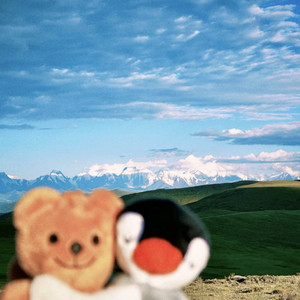 罗生门if you (Follow)