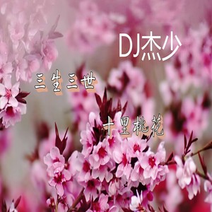 植物大战僵尸 (DJ版)