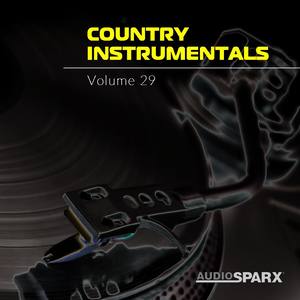 Country Instrumentals Volume 29