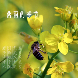 丢了你