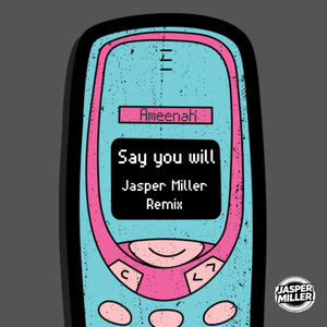 Say You Will (Jasper Miller Remix)
