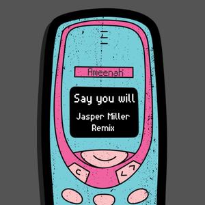 Say You Will (Jasper Miller Remix)