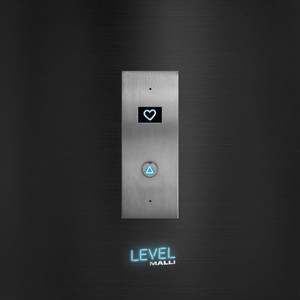 Level