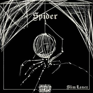 SPIDER (Explicit)