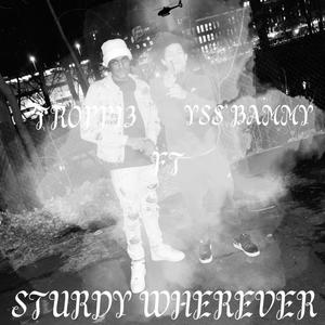 Sturdy Wherever (Explicit)