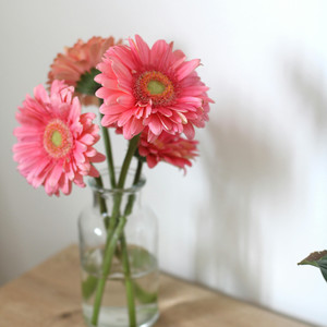 Gọi Tên Nhau Trong Cơn Mơ - Beat