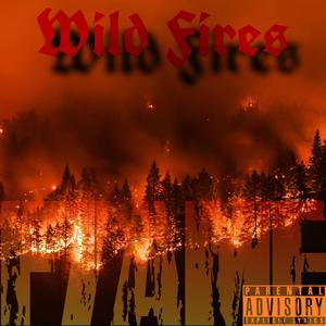 Wild Fires (Explicit)