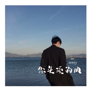 你头顶的风