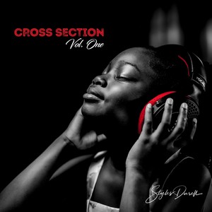 Cross Section, Vol. 1 (Explicit)