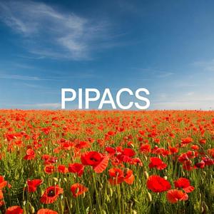 Pipacs (feat. Radnóti Miklós)