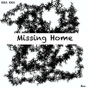 Missing Home