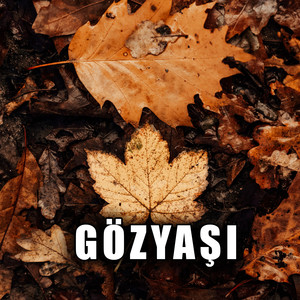 Gözyaşı