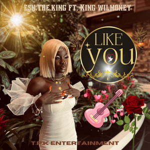 Like You (Explicit)