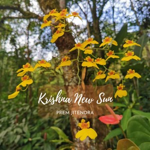 Krishna New Sun