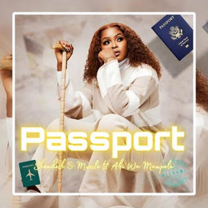 Passport_Remake (feat. Shandesh., Mvzzle Beatz & Milo Deep)