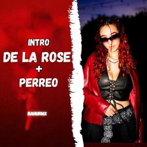 INTRO DE LA ROSE + PERREO