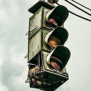 RedLight! (Explicit)