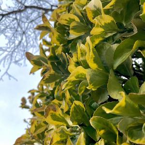 God + Water (feat. Honeychile & Be Free)