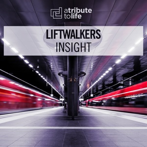 Insight (Radio Edit)