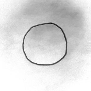 Circles (feat. Kaaden A) (Explicit)