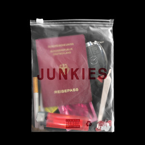 Junkies (Explicit)