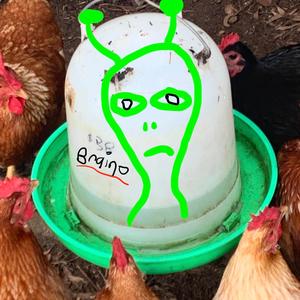 The Last Melon Blues