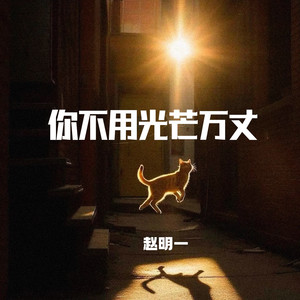 你不用光芒万丈