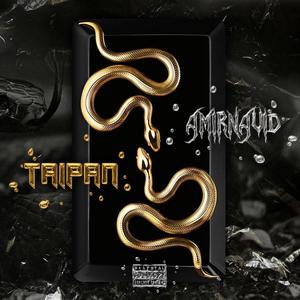 Snake Attack (Explicit)