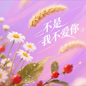 不是我不爱你 (女版)