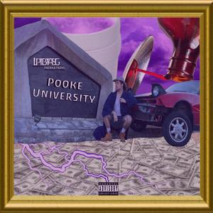 Pooke University (Explicit)