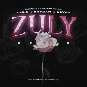 Zuly (Remix|Explicit)
