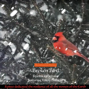 Broken Bird (feat. Valery Nuzzolo & Greg Sachs)