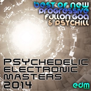 33 Psychedelic Electronic Masters 2014 - Best of New Progressive Fullon Goa & Psychill